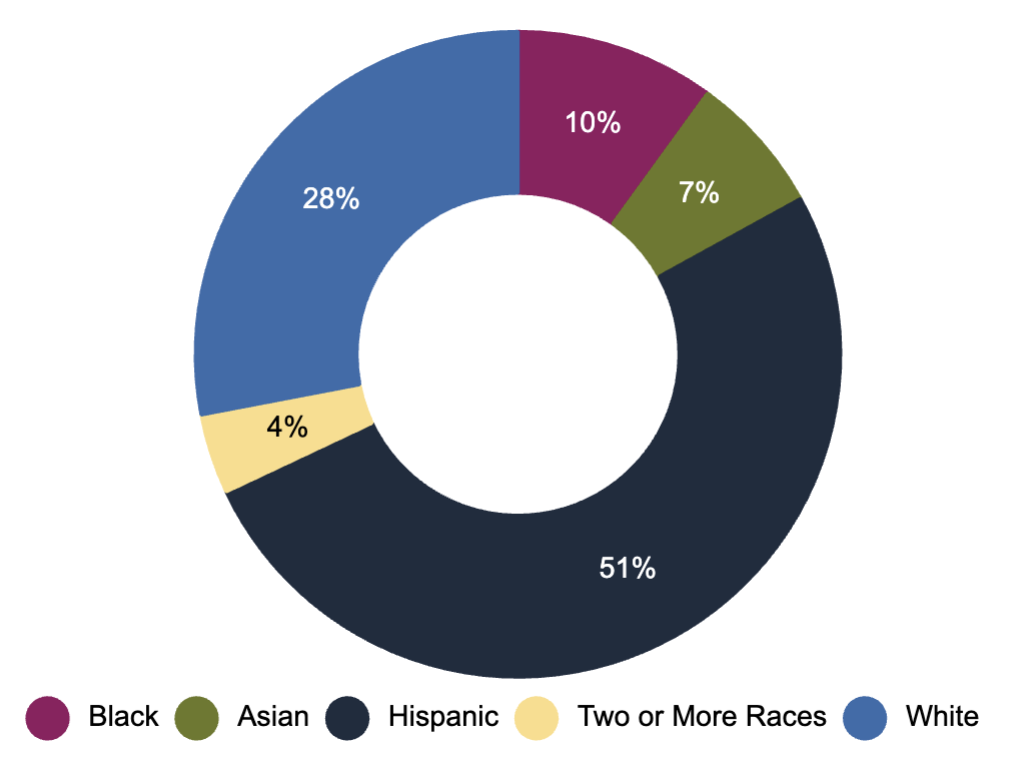 OnRamps Demographics Chart